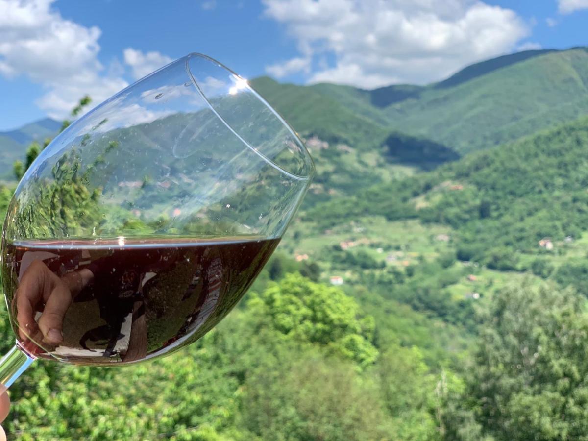 Casa Emma Fiattone In Garfagnana 빌라 외부 사진